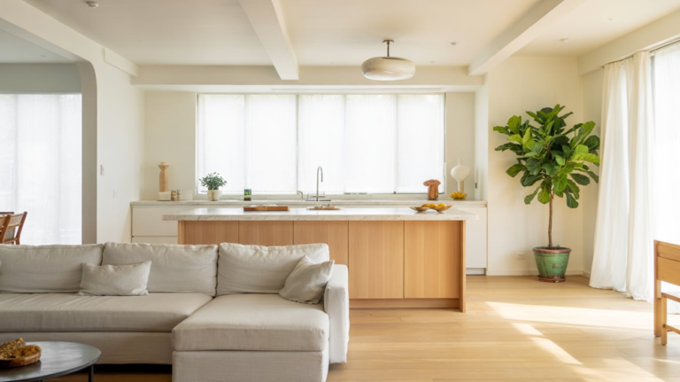 19 Open Space Living Room and Kitchen Ideas